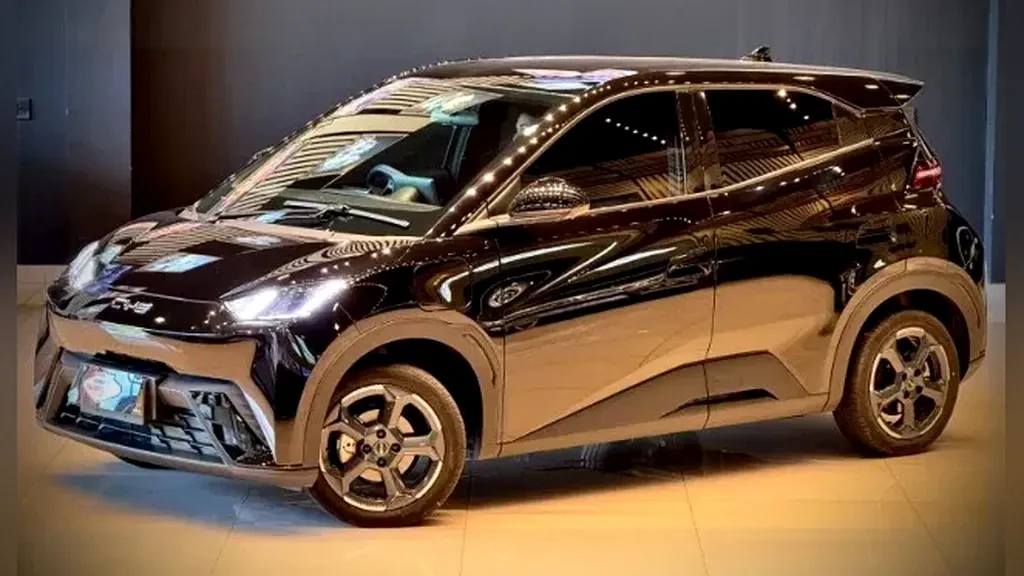 Foto de um byd dolphin mini