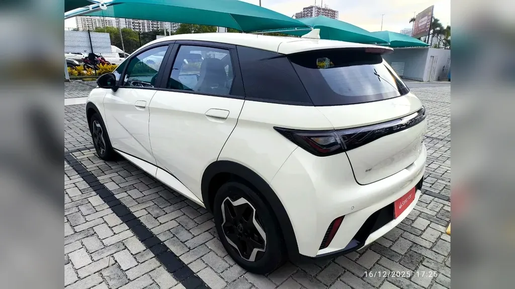 Foto de um byd dolphin