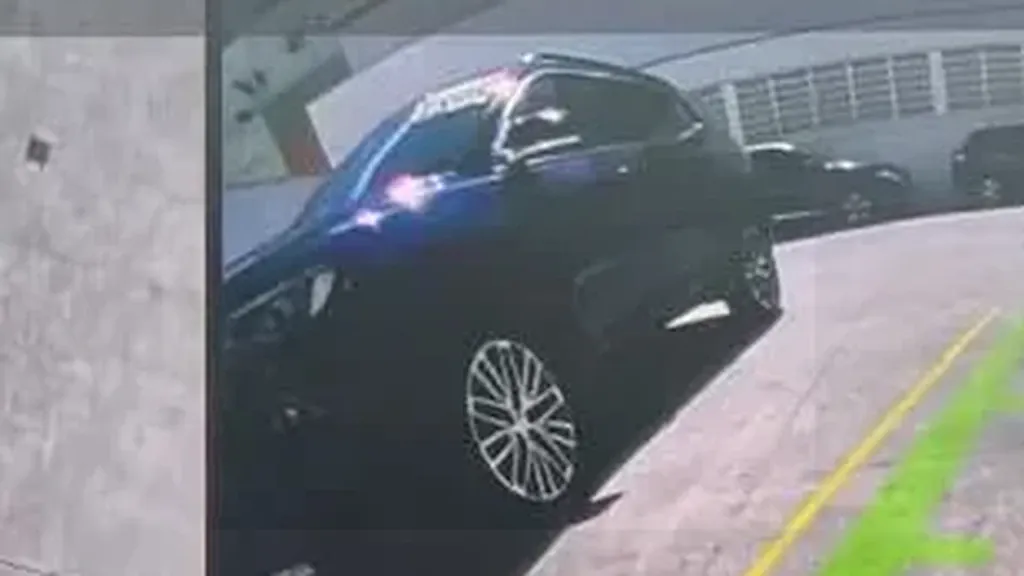 GWM Ora 03 - Imagem 13