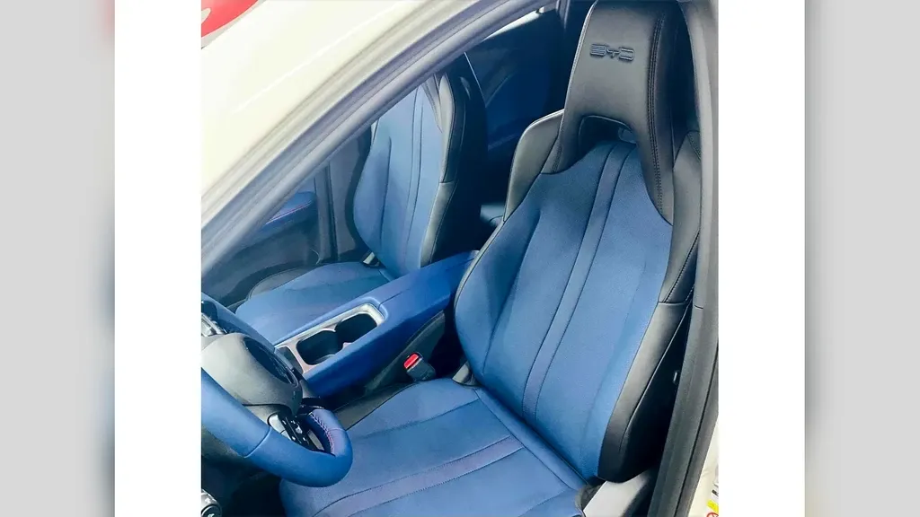 BYD Dolphin Mini - Imagem 9