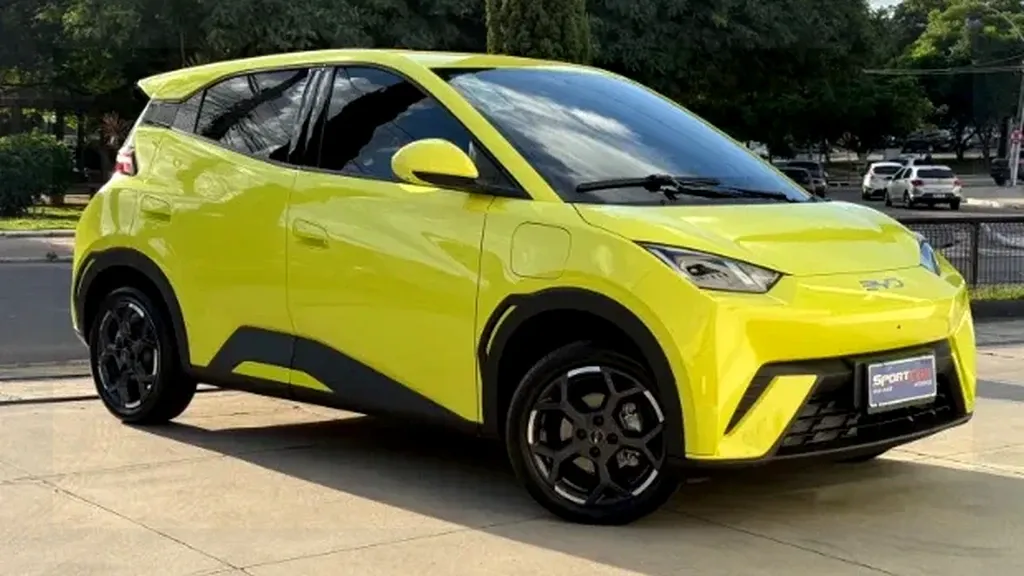 Foto de um byd dolphin mini