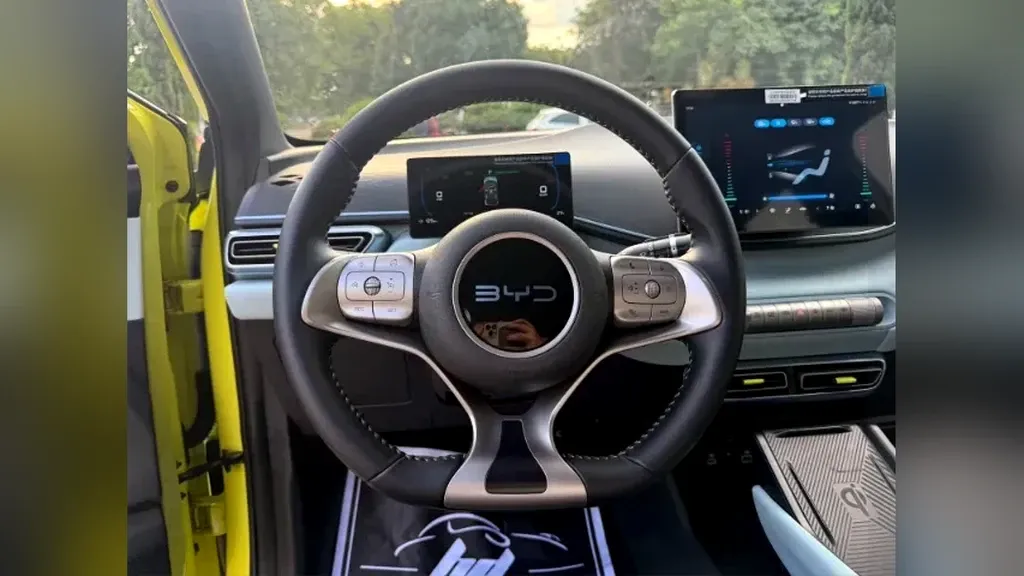 BYD Dolphin Mini - Imagem 9