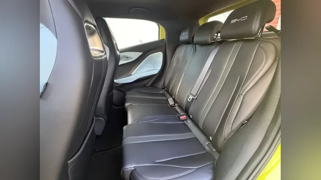 BYD Dolphin Mini - Imagem 20