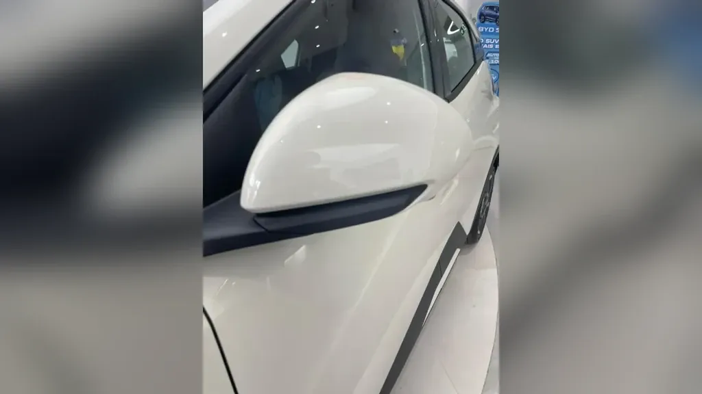 BYD Dolphin Mini - Imagem 7