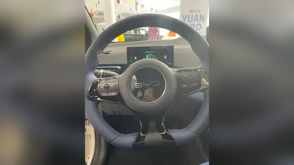 BYD Dolphin Mini - Imagem 12