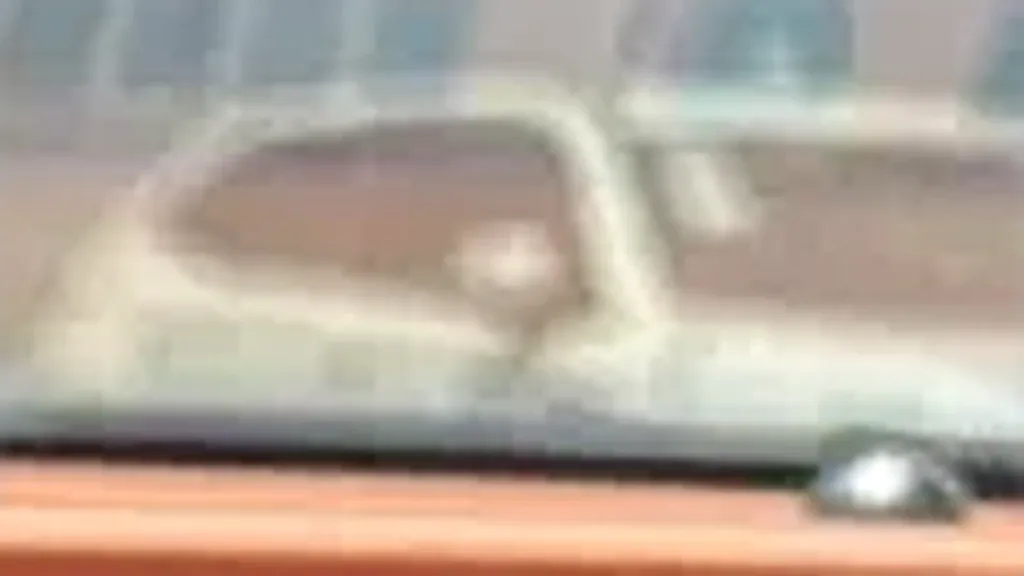 GWM Ora 03 - Imagem 7