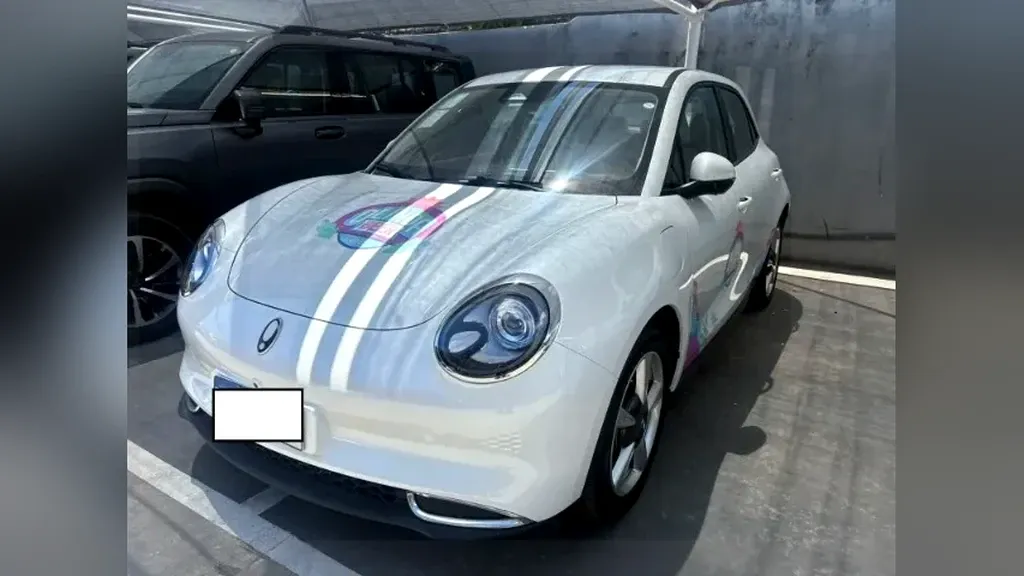 Foto de um gwm ora 03