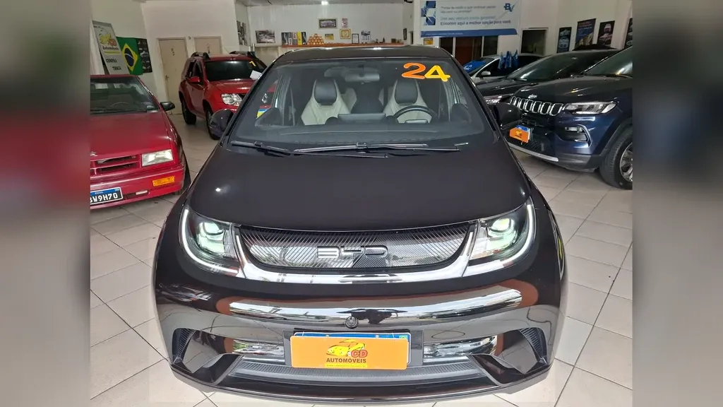 Foto de um byd dolphin