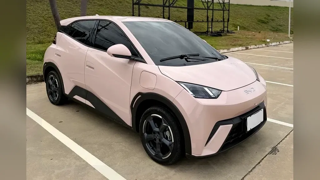 Foto de um byd dolphin mini