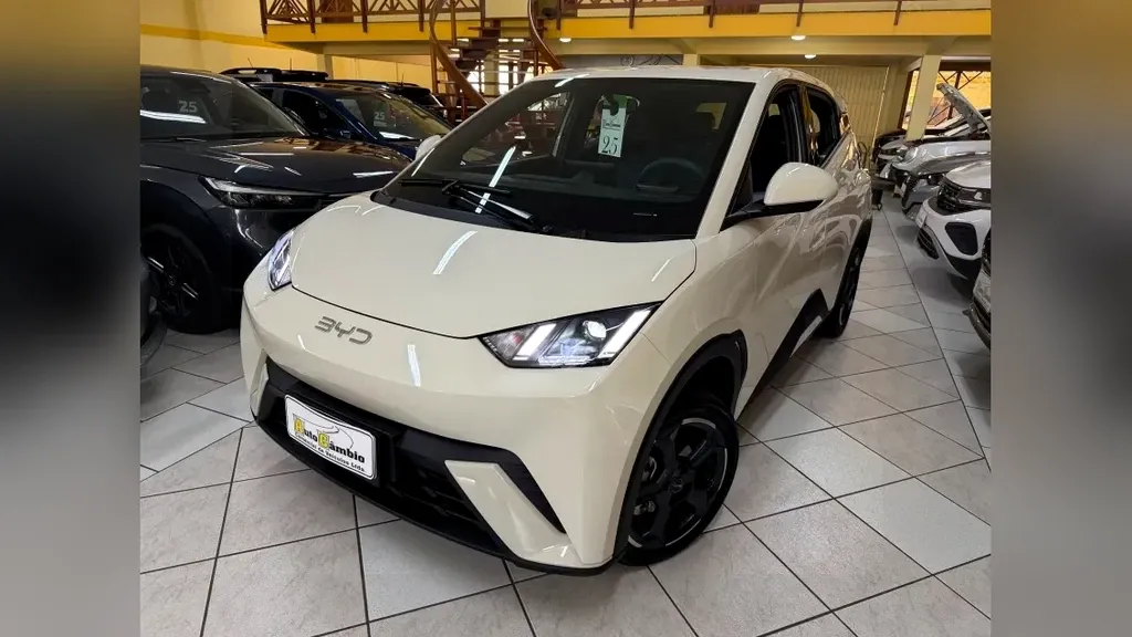 Foto de um byd dolphin mini