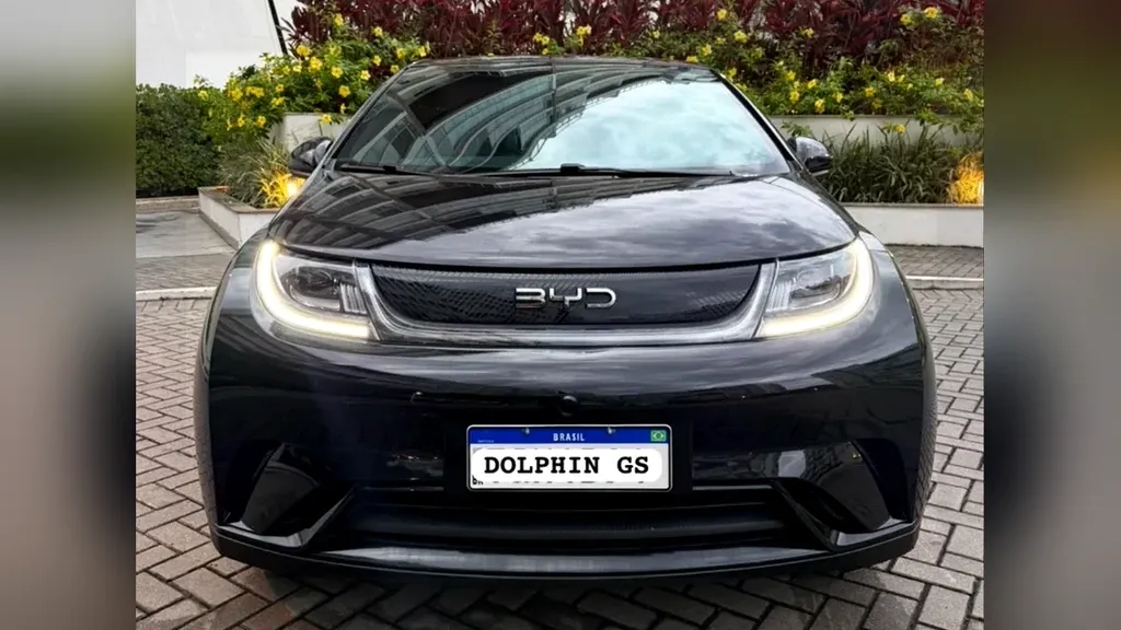 Foto de um byd dolphin