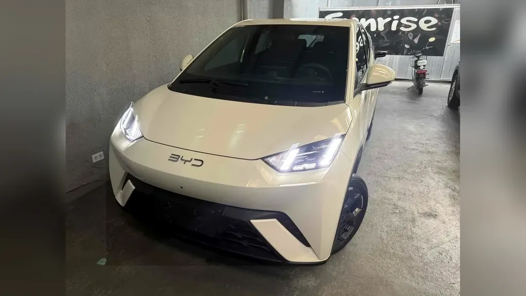 BYD Dolphin Mini - Imagem 15