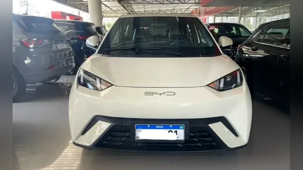 Foto de um byd dolphin mini