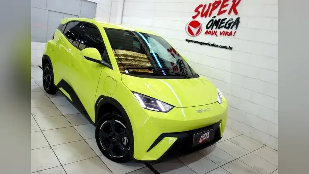 Foto de um byd dolphin mini