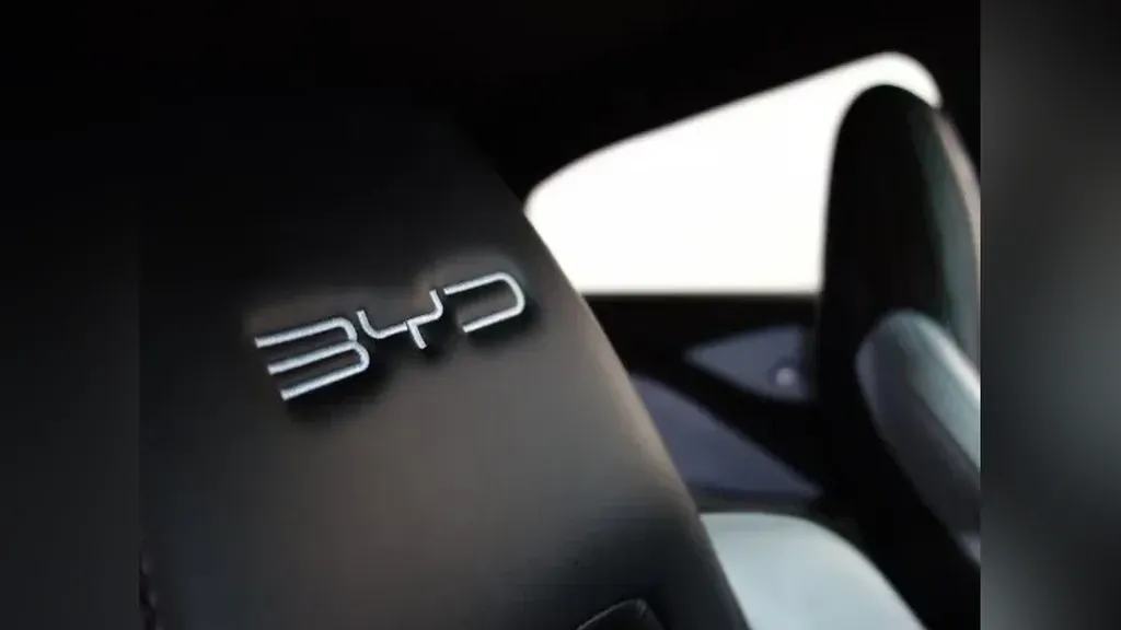 BYD Dolphin Mini - Imagem 14