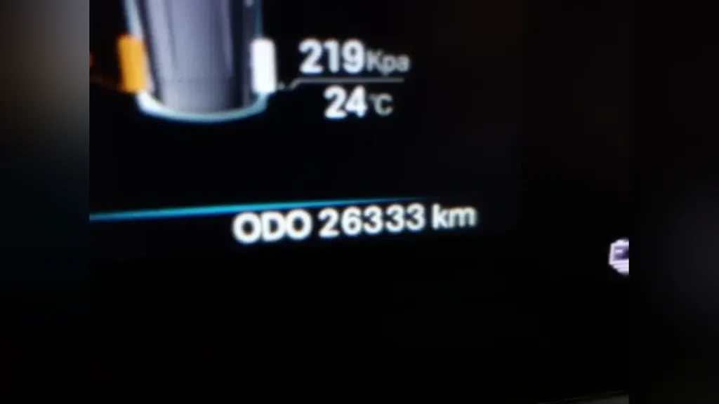 BYD Dolphin Mini - Imagem 17