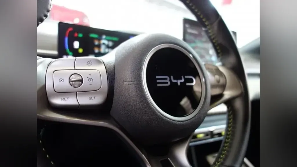 BYD Dolphin Mini - Imagem 19