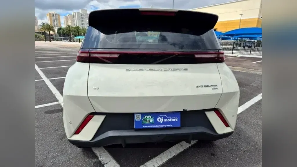 BYD Dolphin Mini - Imagem 11