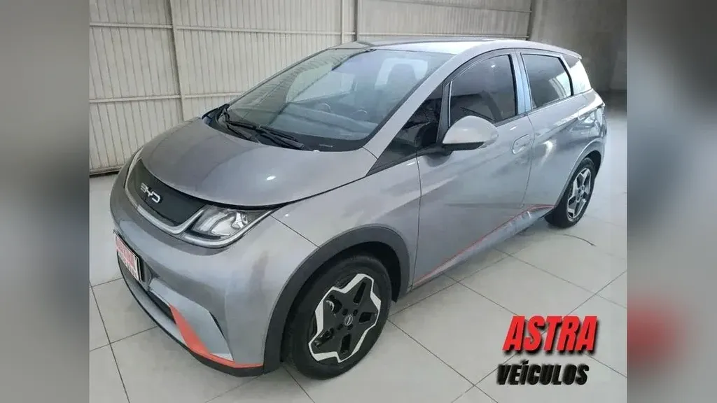 Foto de um byd dolphin