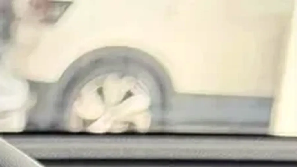 BYD Song Pro Dm-i Plug-in Hybrid - Imagem 11