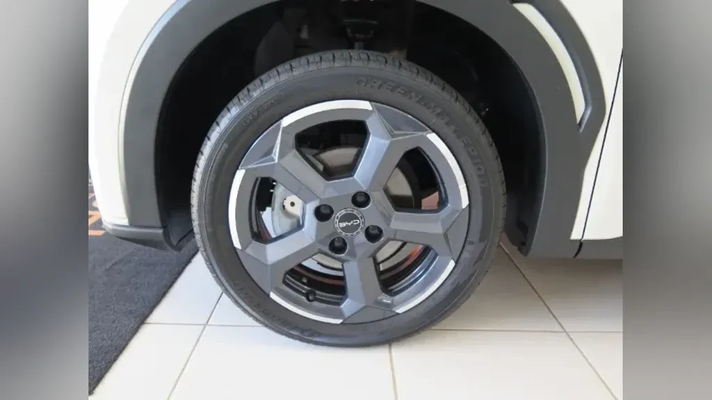 BYD Dolphin Mini - Imagem 18