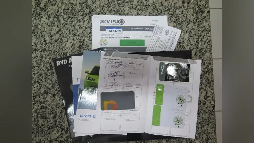 BYD Dolphin Mini - Imagem 20