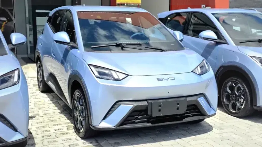 Foto de um byd dolphin mini