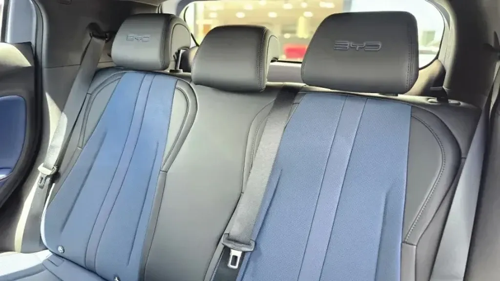 BYD Dolphin Mini - Imagem 17