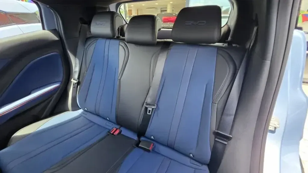 BYD Dolphin Mini - Imagem 18