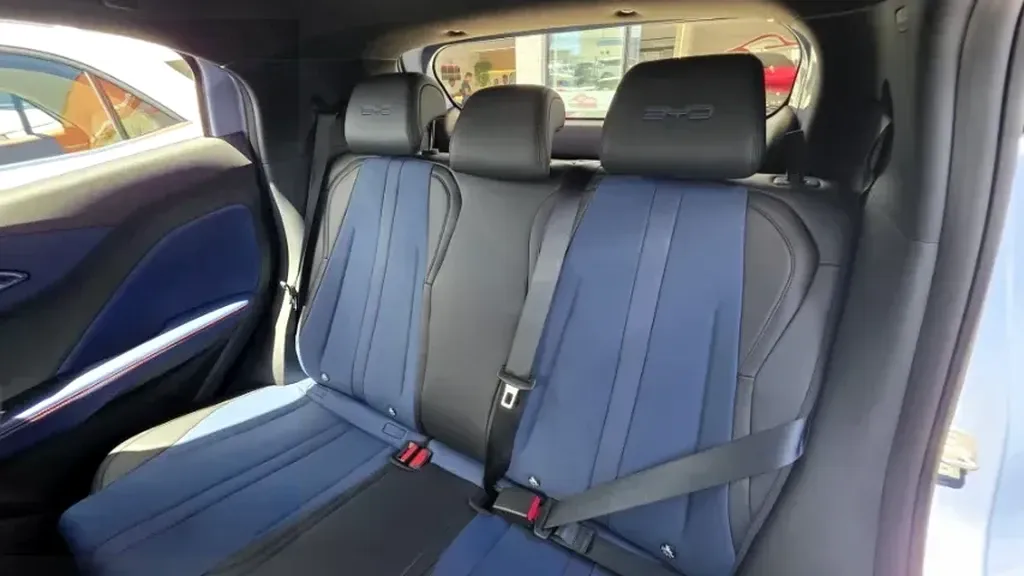 BYD Dolphin Mini - Imagem 18