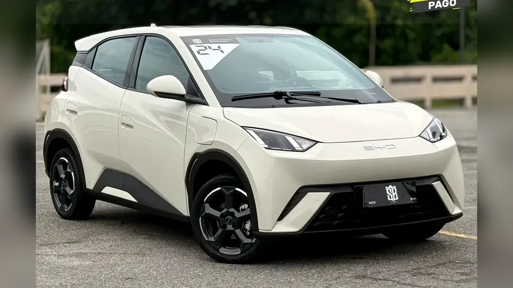 Foto de um byd dolphin