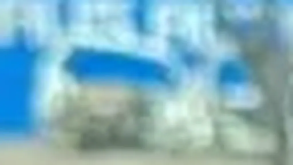 BYD Dolphin Mini - Imagem 6