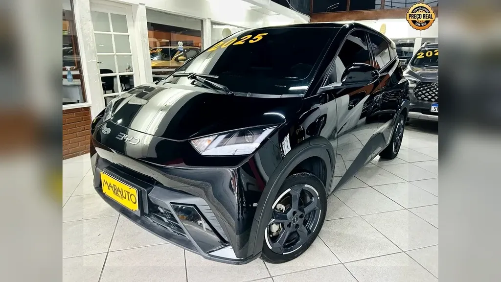 Foto de um byd dolphin