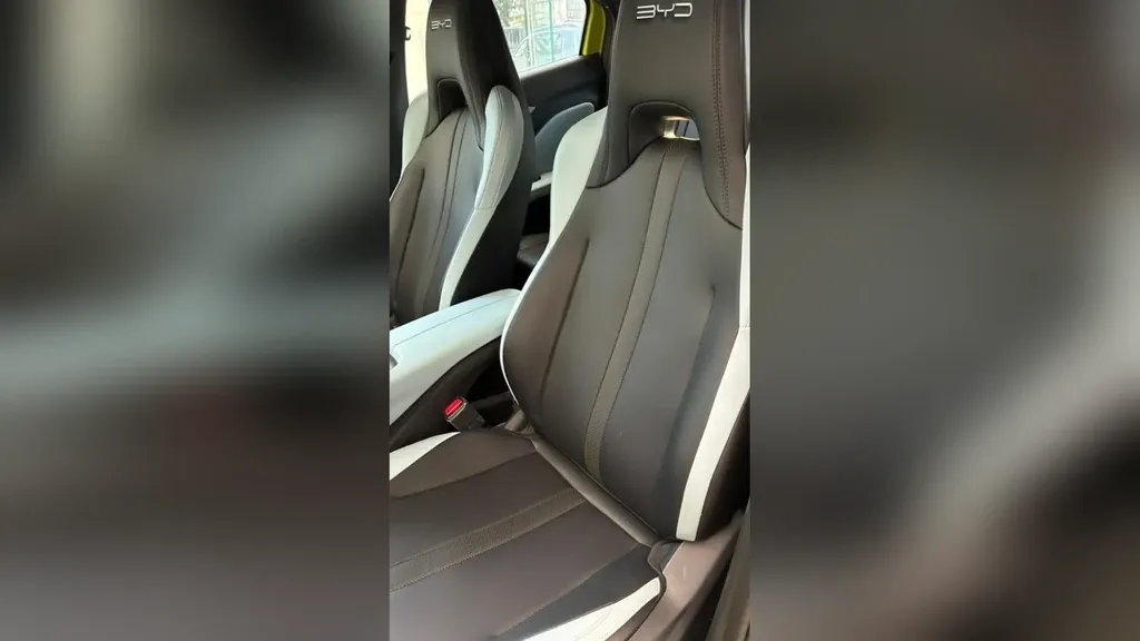 BYD Dolphin Mini - Imagem 6