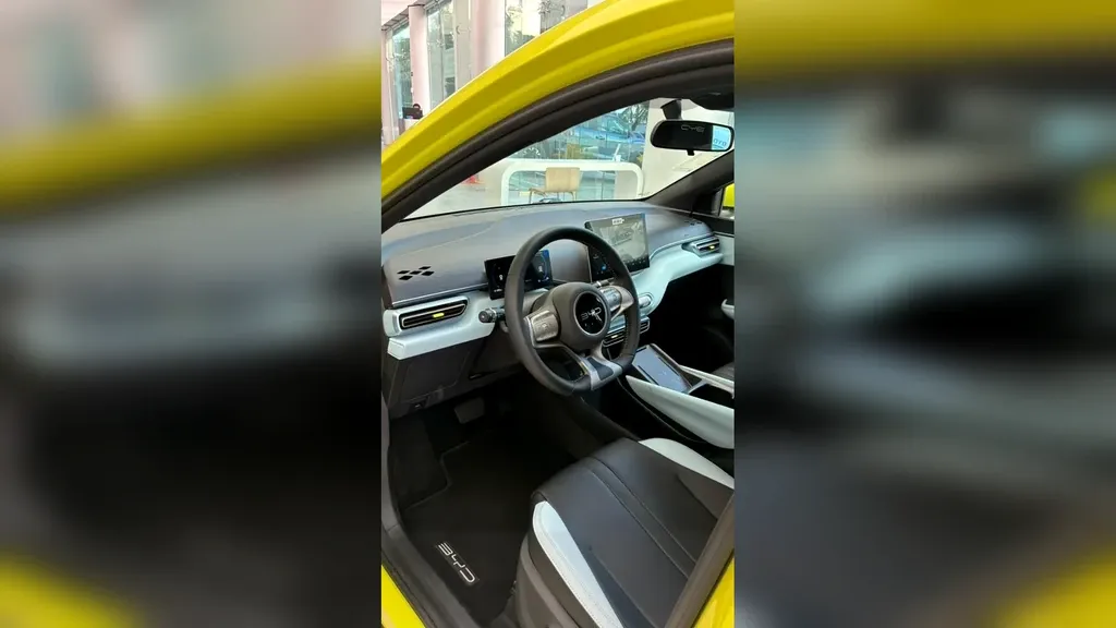 BYD Dolphin Mini - Imagem 8