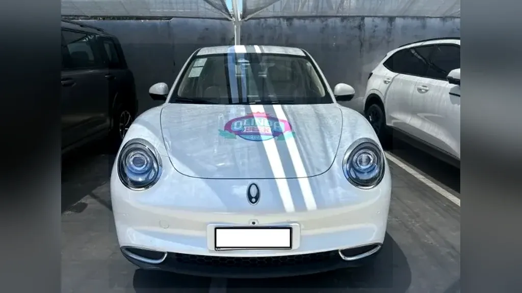 GWM Ora 03 - Imagem 2