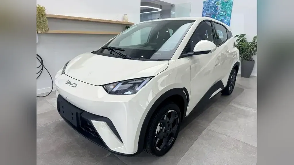 Foto de um byd dolphin mini