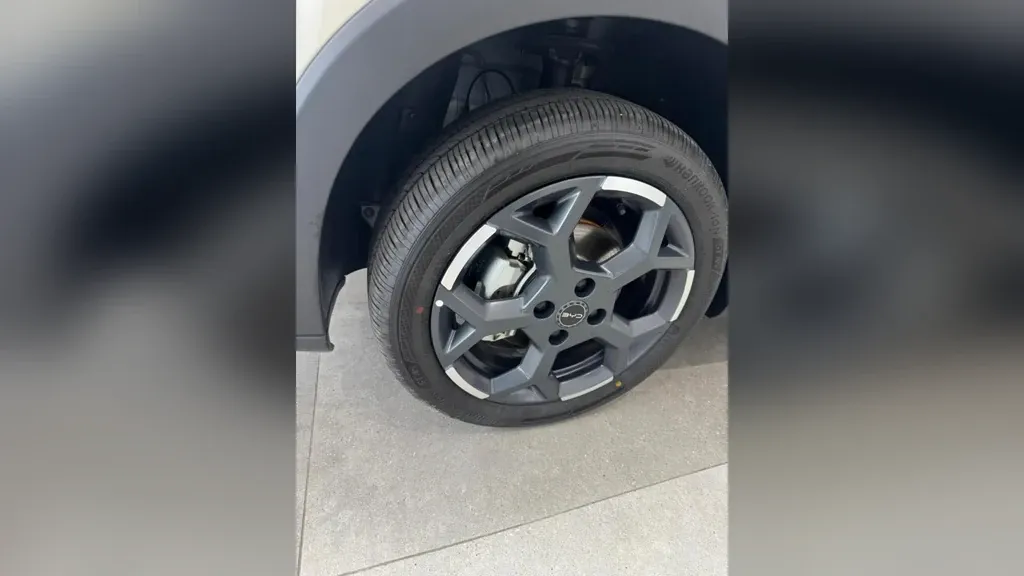 BYD Dolphin Mini - Imagem 6