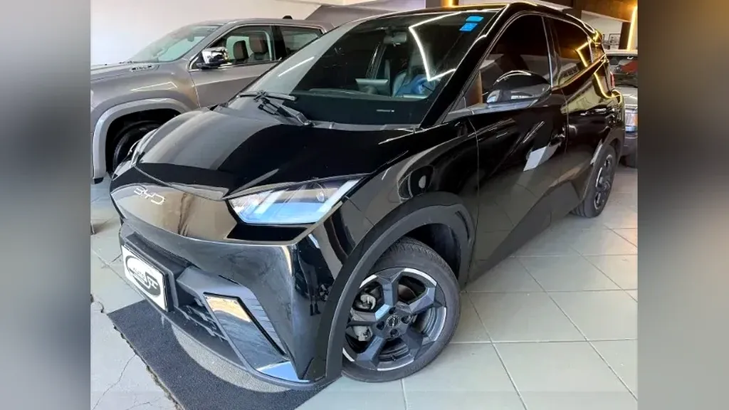 Foto de um byd dolphin mini