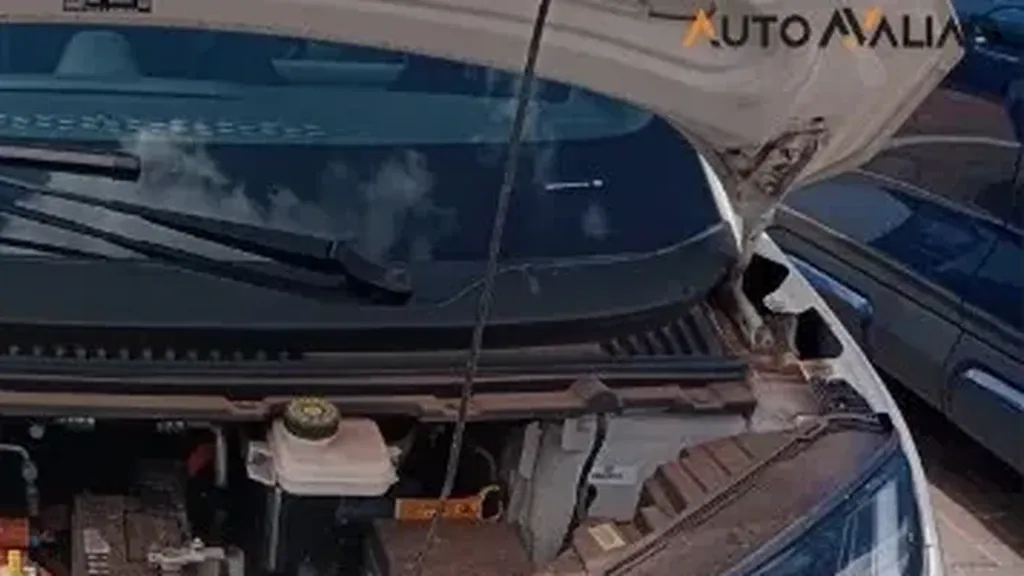 BYD Dolphin Mini - Imagem 12