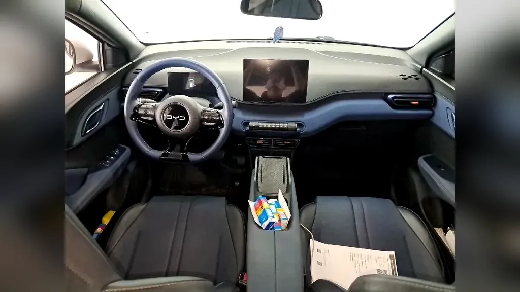 BYD Dolphin Mini - Imagem 10