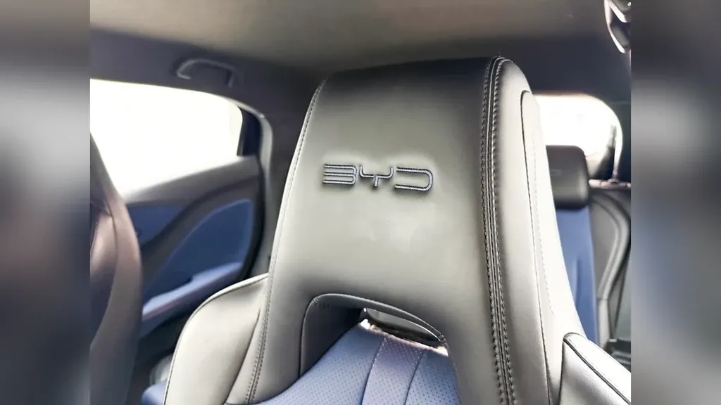 BYD Dolphin Mini - Imagem 13