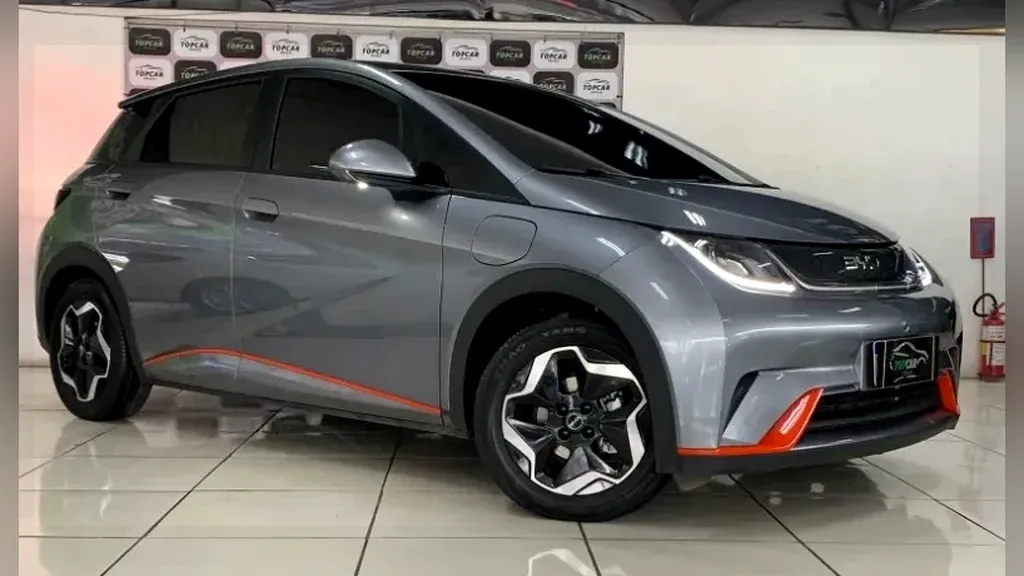 Foto de um byd dolphin