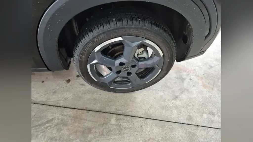 BYD Dolphin Mini - Imagem 15