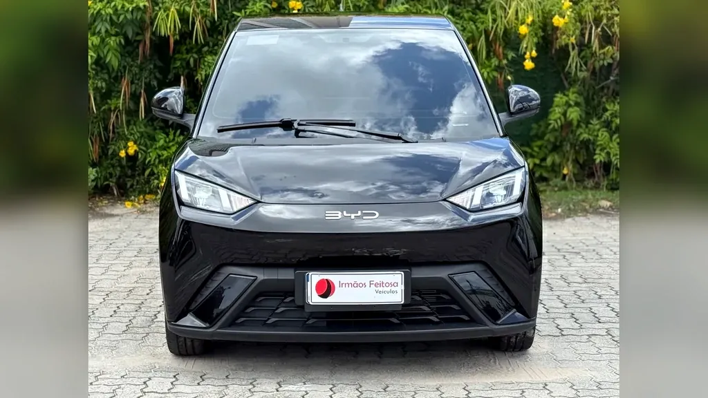BYD Dolphin Mini - Imagem 2