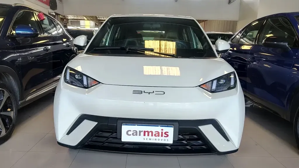 Foto de um byd dolphin mini