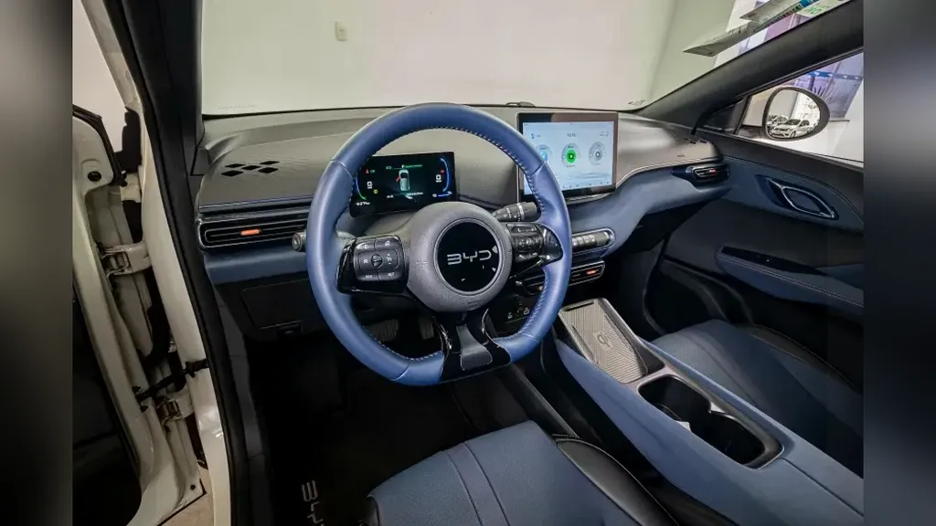 BYD Dolphin Mini - Imagem 14