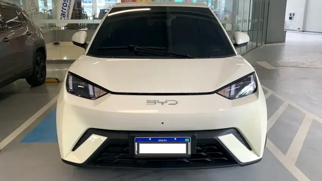 Foto de um byd dolphin mini