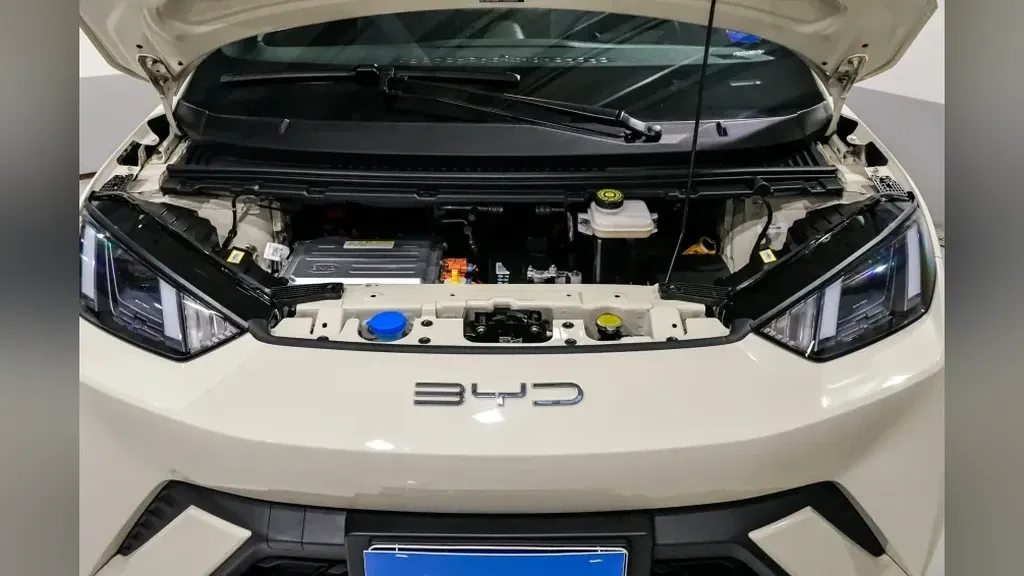 BYD Dolphin Mini - Imagem 5