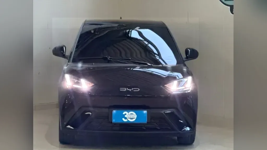 BYD Dolphin Mini - Imagem 2
